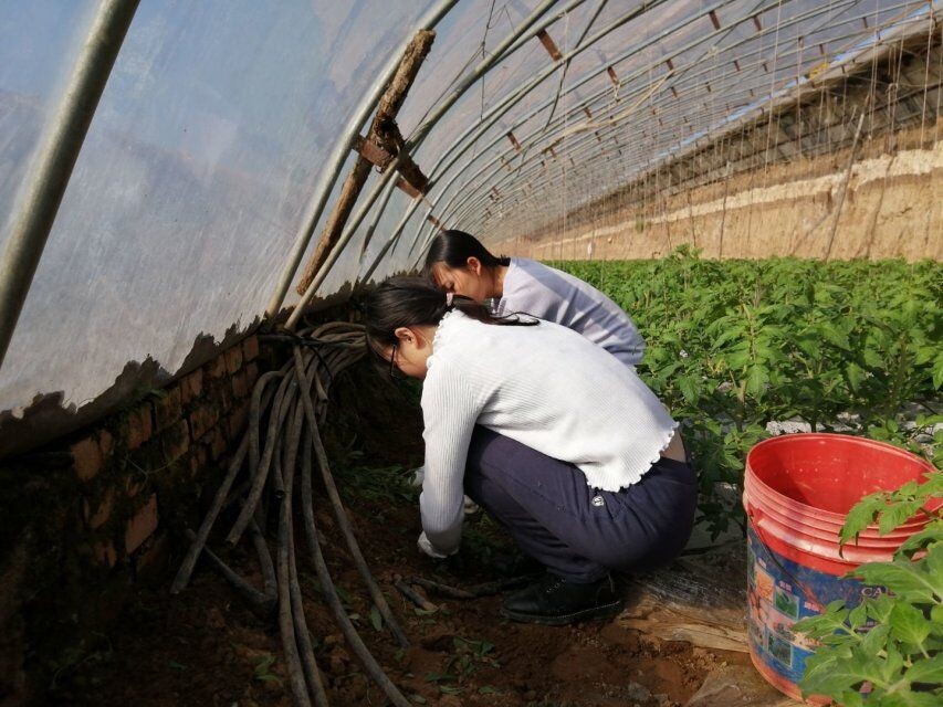 6f0030aa7cd041c3805e10651ac43b71.jpg 6f0030aa7cd041c3805e10651ac43b71.jpg