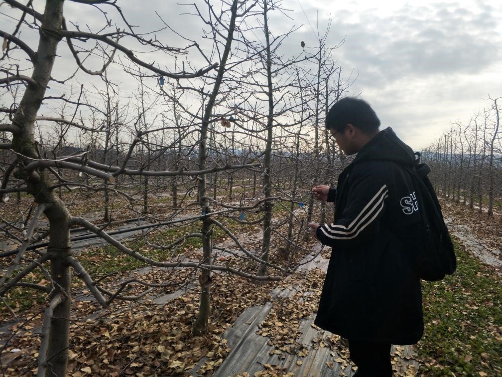 8ff35e240325405e89dccdb90e2afdbb.jpg 8ff35e240325405e89dccdb90e2afdbb.jpg