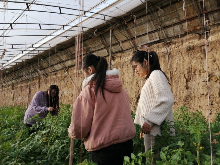 bbe6aadbe14749138d44ab7ccb108f3b.jpg bbe6aadbe14749138d44ab7ccb108f3b.jpg