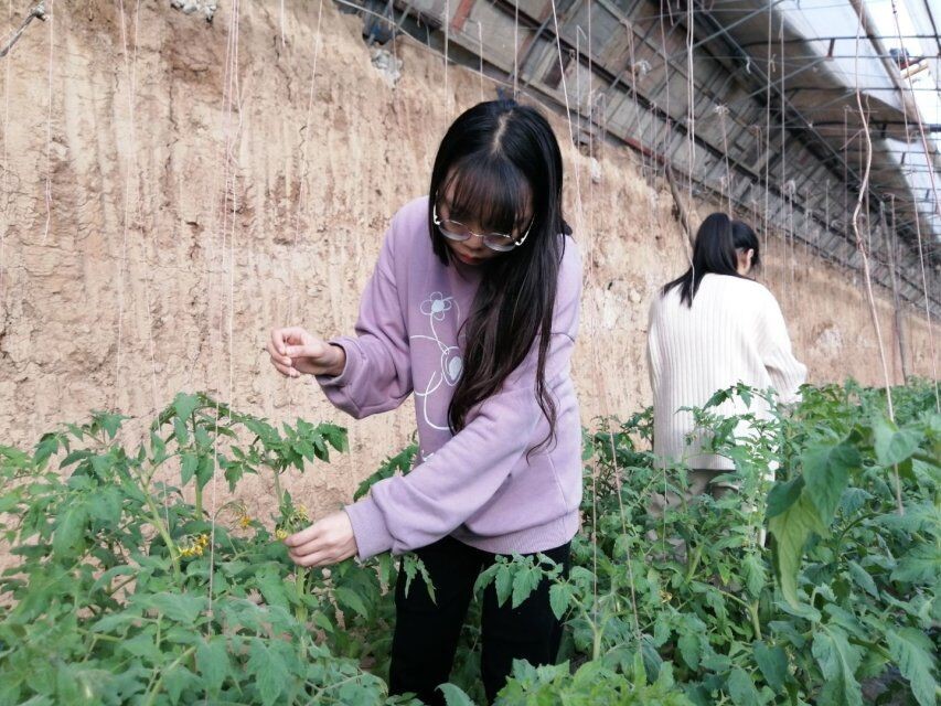 ee81b74ea6fb45f2a3cd23e99a060383.jpg ee81b74ea6fb45f2a3cd23e99a060383.jpg