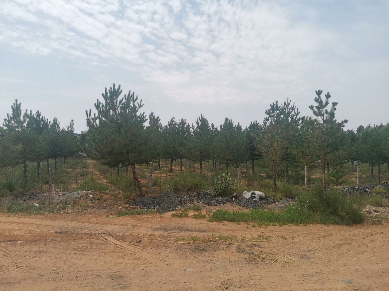 b54ba9cac63e4624839a0655263c7536.jpg b54ba9cac63e4624839a0655263c7536.jpg