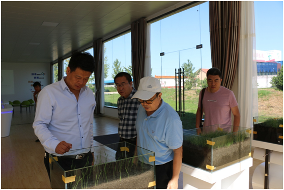 12f7e78b986b464ebb2740424ae2e654.png image.png