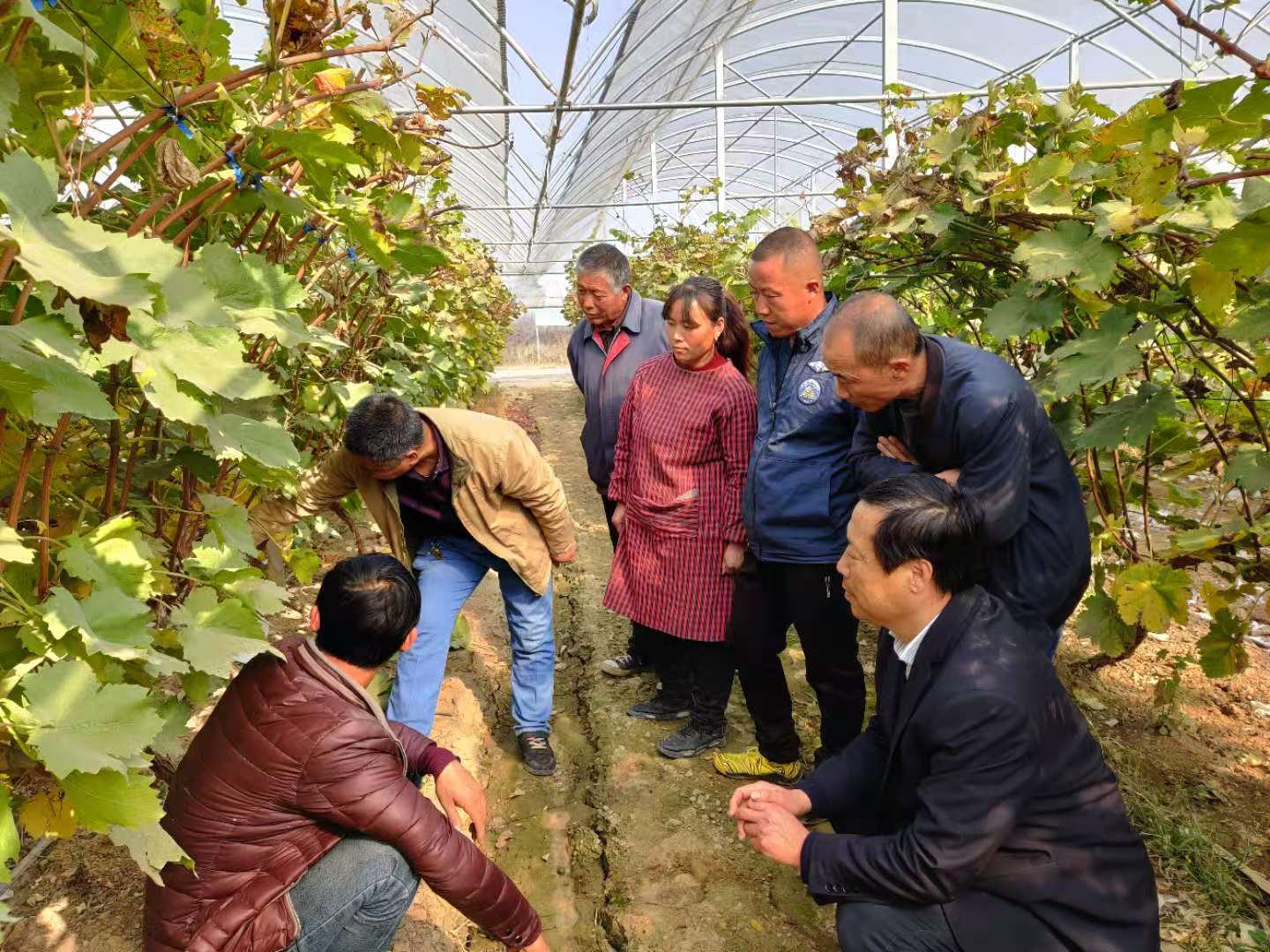 6d54d845cb994a6a9696bbad3da70cbb.jpg 6d54d845cb994a6a9696bbad3da70cbb.jpg