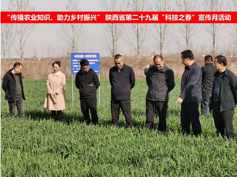 ba93f8a27f684785ad4c0ee696bc8791.jpg 33333333333333.jpg