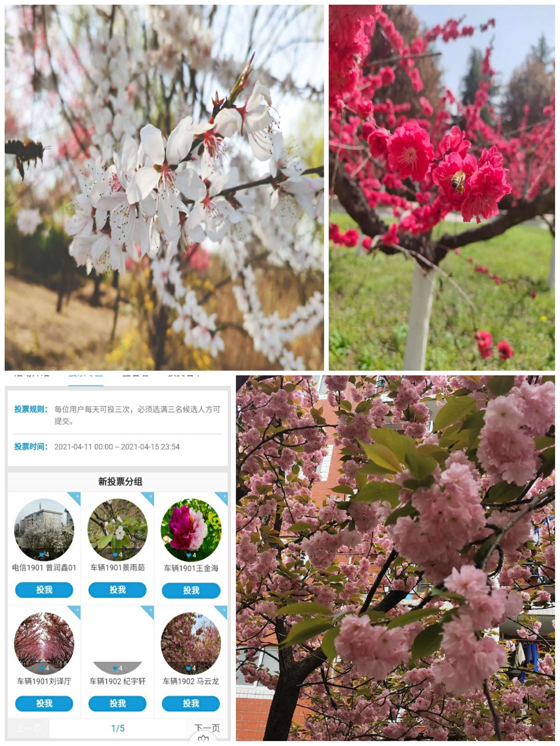 de05e63bfbf44765b2cf95535831741e.png de05e63bfbf44765b2cf95535831741e.png