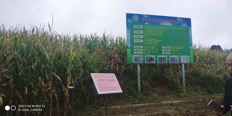 c75d1a49e9a0489b99bf2748a6d08aa3.jpg c75d1a49e9a0489b99bf2748a6d08aa3.jpg