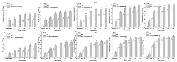 ac5579d1bd3e4118ab56cd6b4798f4ea.png image.png