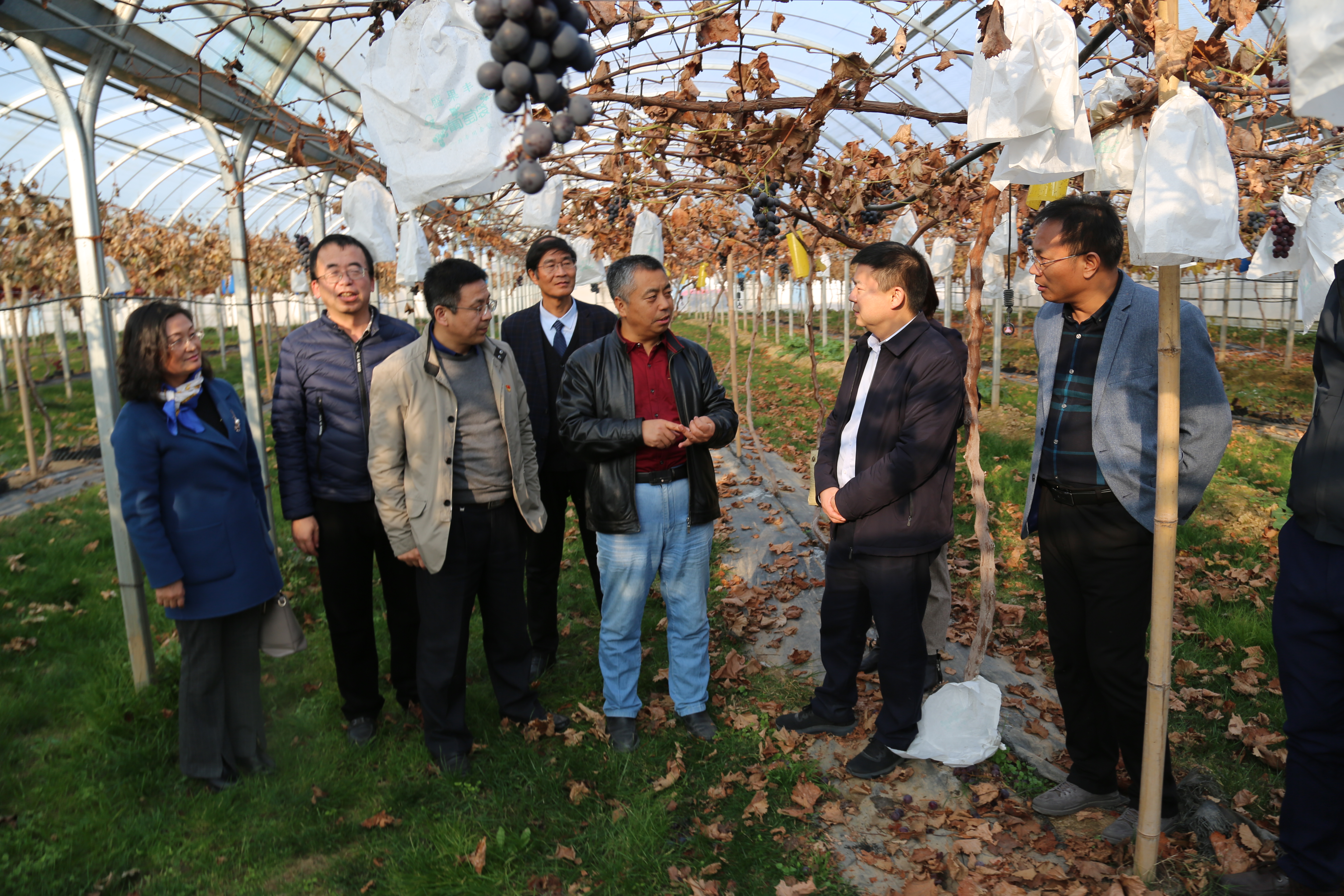 c7d3de06428d43799a92868f5ddb50c7.jpg c7d3de06428d43799a92868f5ddb50c7.jpg