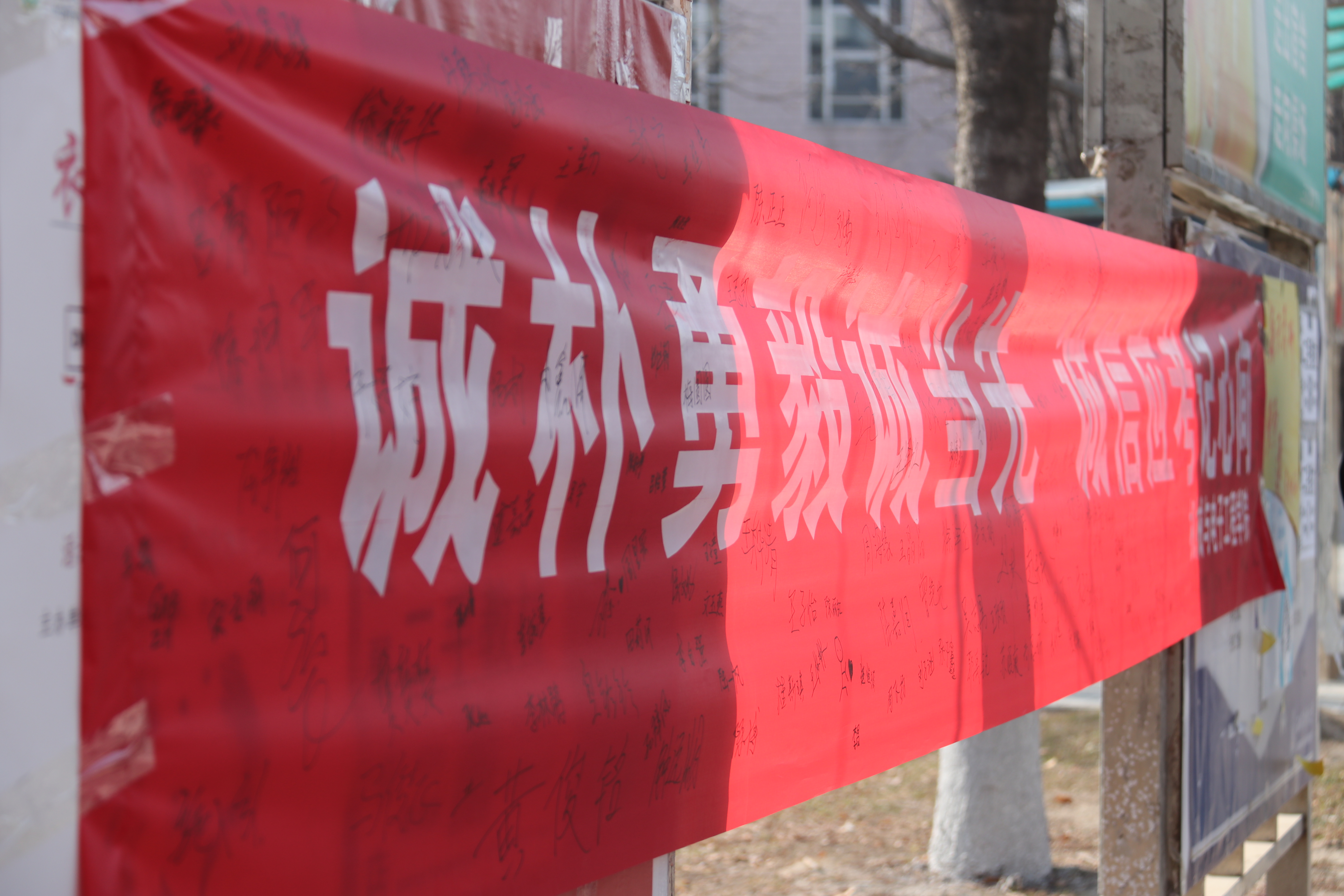 d1d723d1fb51489e824260ad411498c6.jpg d1d723d1fb51489e824260ad411498c6.jpg