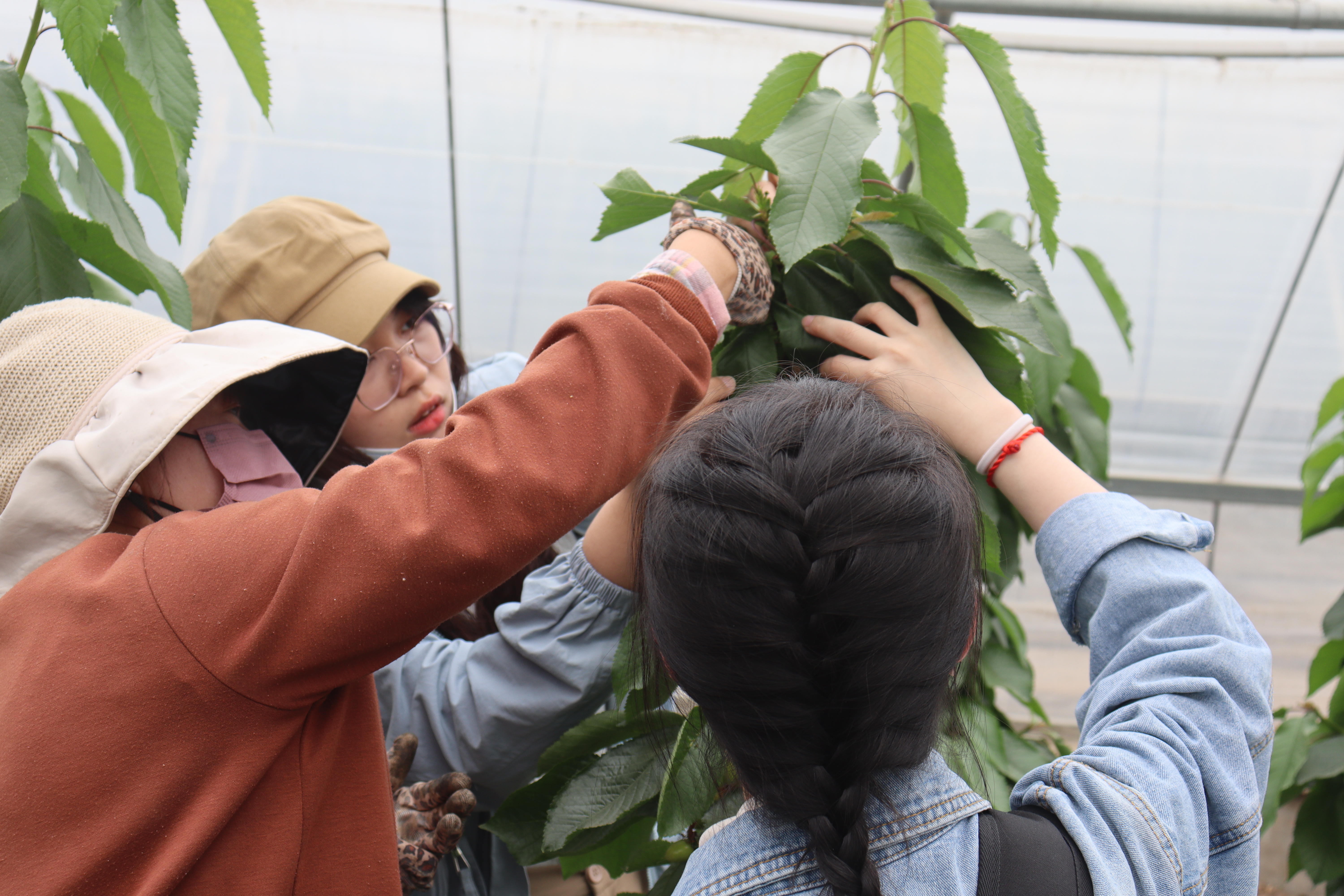 0e7abbaeea1b4008bcedadf3893c2054.jpg 0e7abbaeea1b4008bcedadf3893c2054.jpg