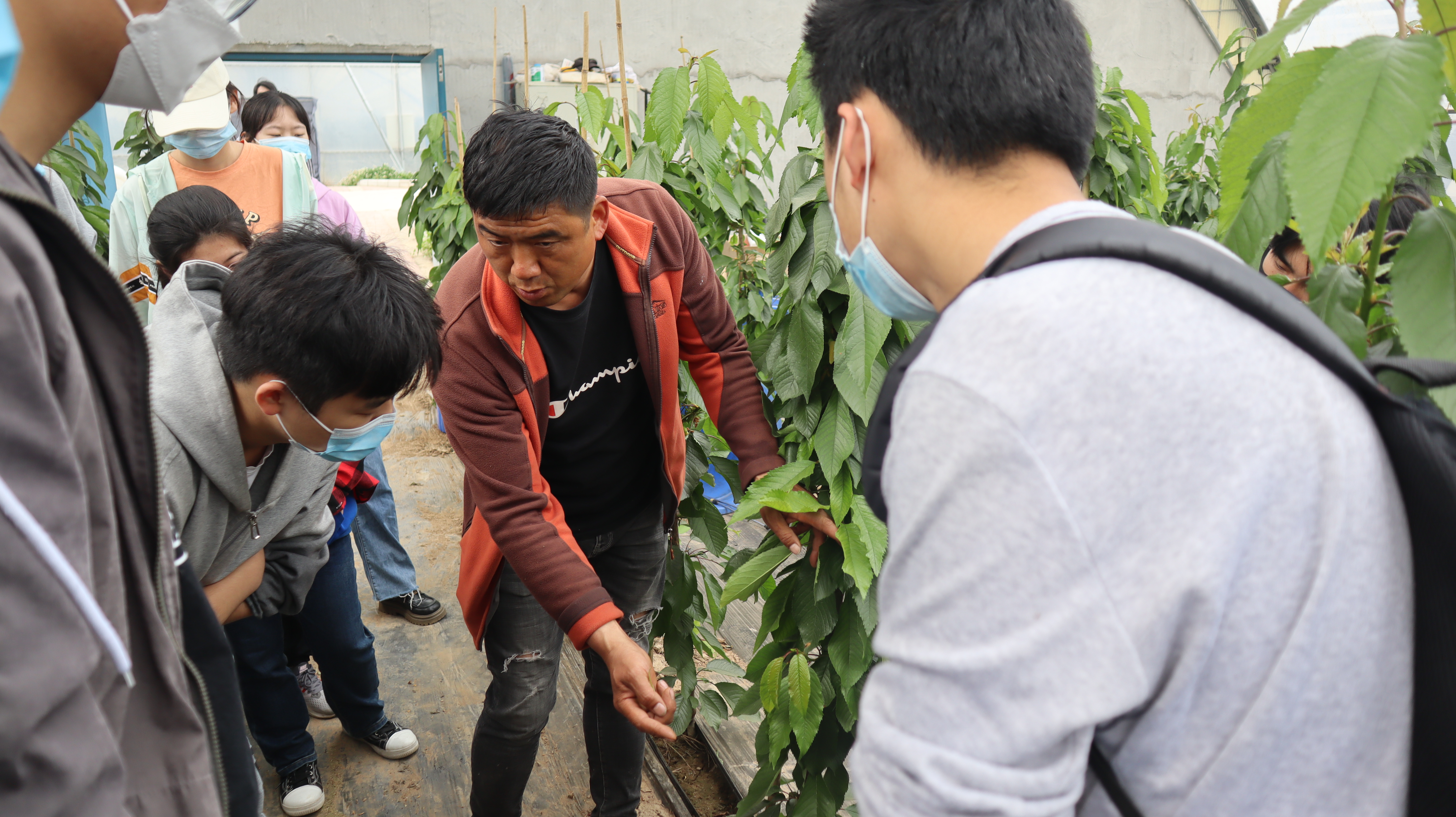 510a2a8cd7d94d1786a039d09b59fe79.jpg 510a2a8cd7d94d1786a039d09b59fe79.jpg