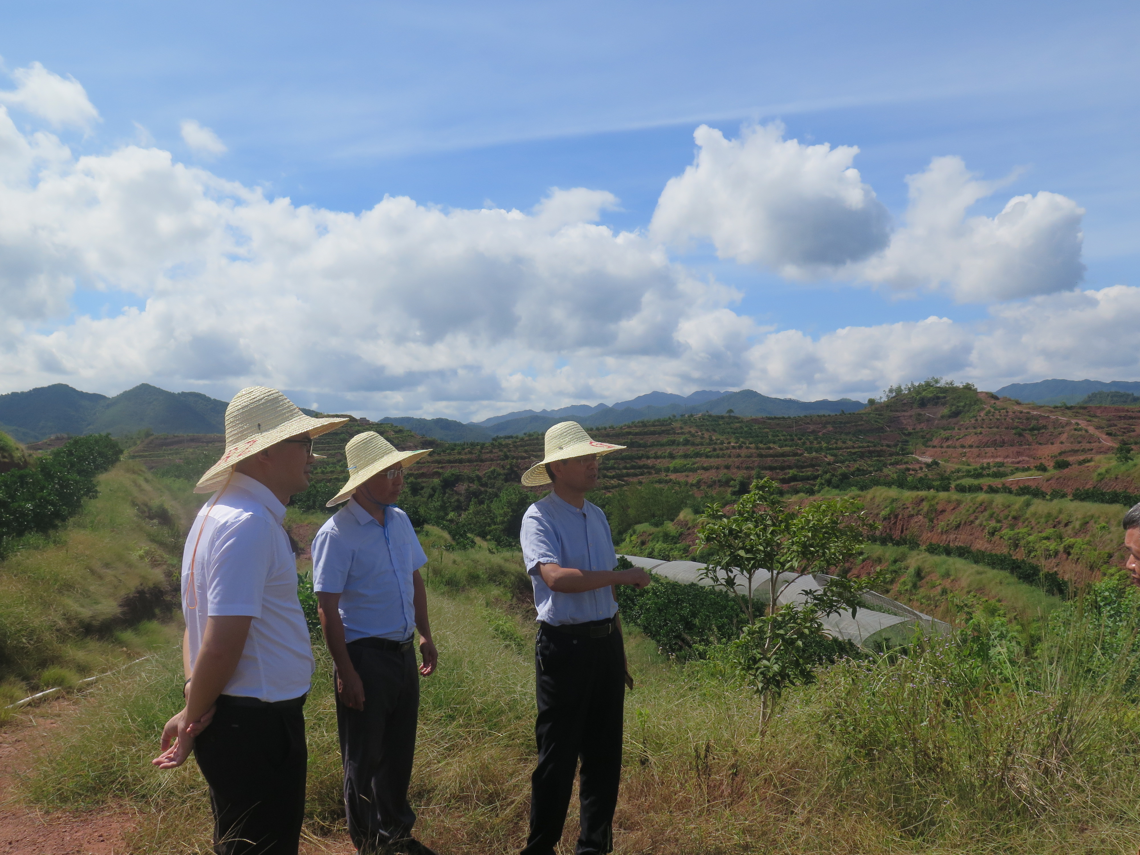 c041f5912f4d46839ea530d8d389ff90.jpg c041f5912f4d46839ea530d8d389ff90.jpg