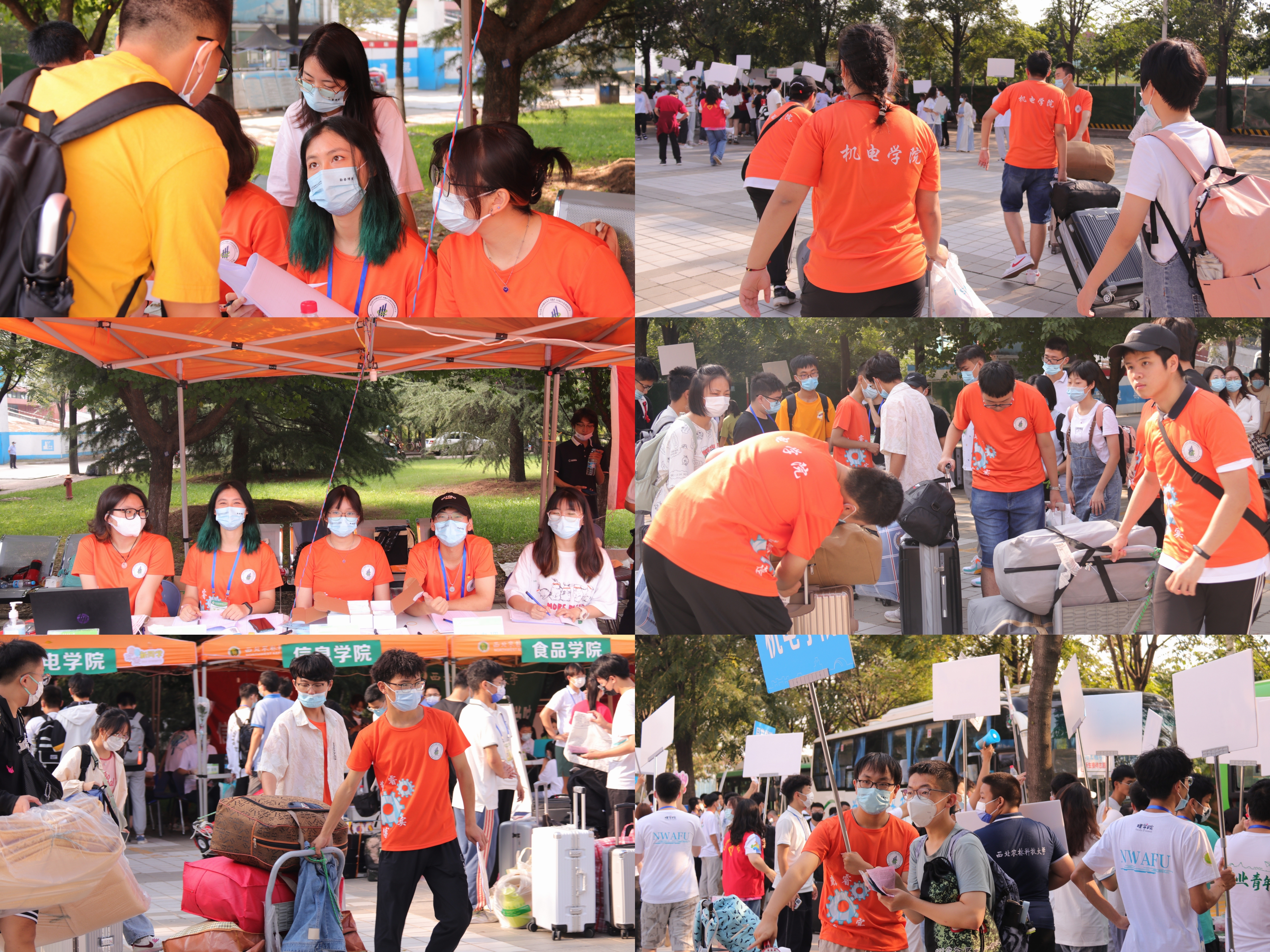 cfed05c98150425c8174e1bb1d40ea37.jpg cfed05c98150425c8174e1bb1d40ea37.jpg