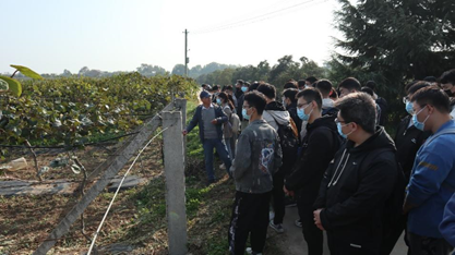 adb17e2f38cc4f54b322a5f51c798495.png image.png