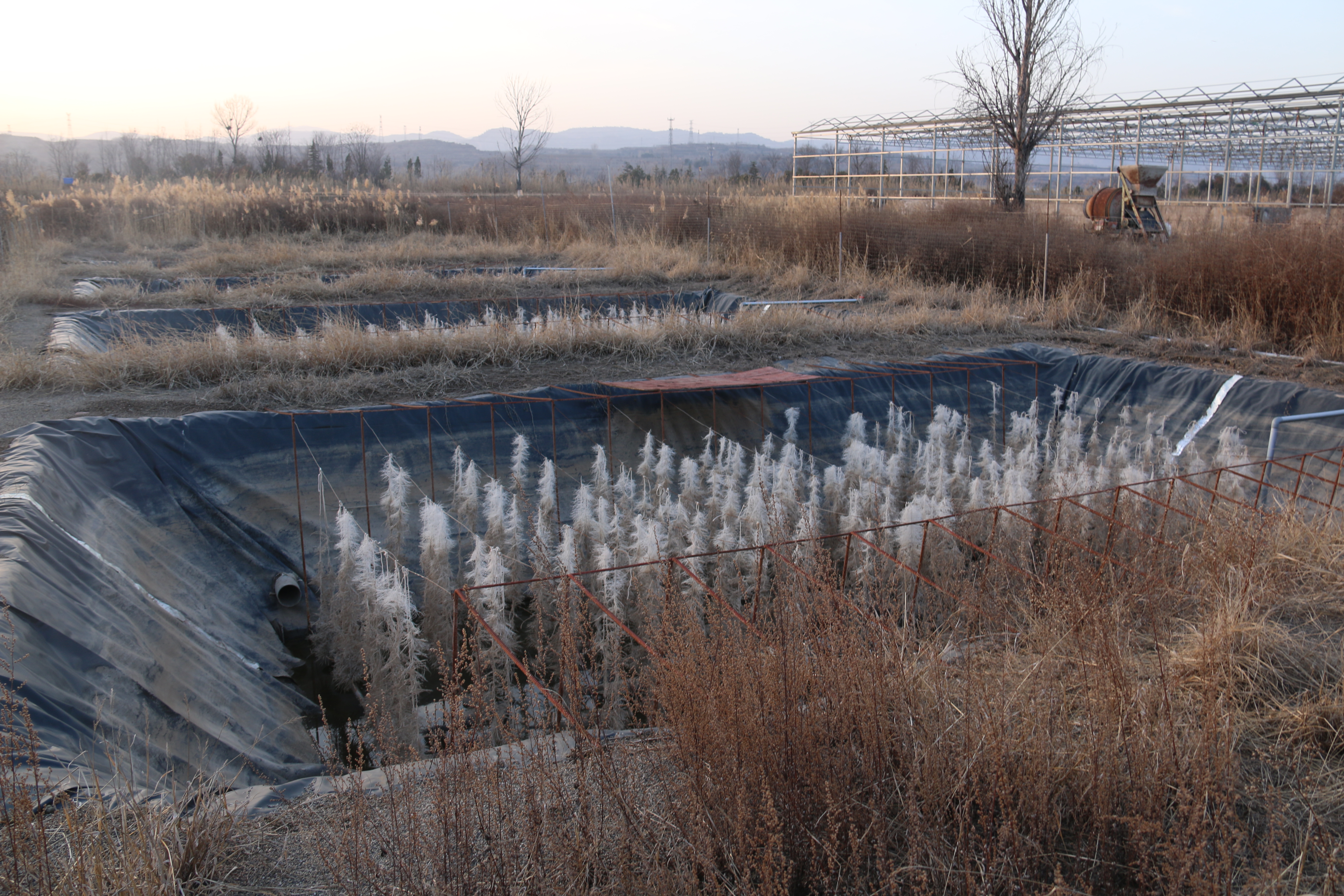 c1f86b8b5800412fae6f09b1275770a4.jpg c1f86b8b5800412fae6f09b1275770a4.jpg