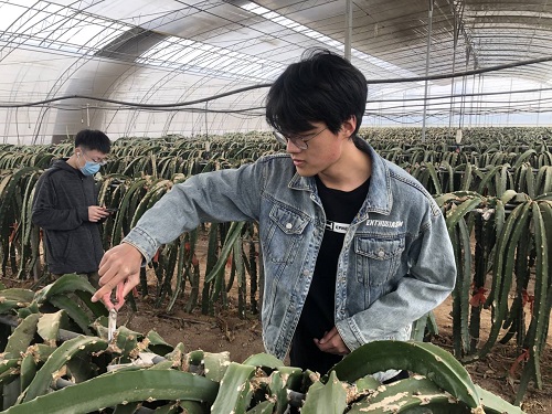 391c87be7e1641e68e54eb5fd23c7ae3.jpg 图一.jpg