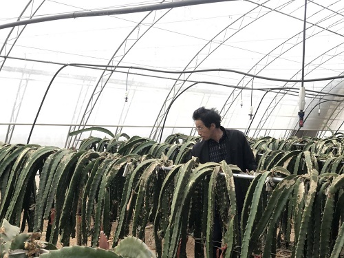 b10be69ad9454ca89dc191b213a4b376.jpg 图二.jpg